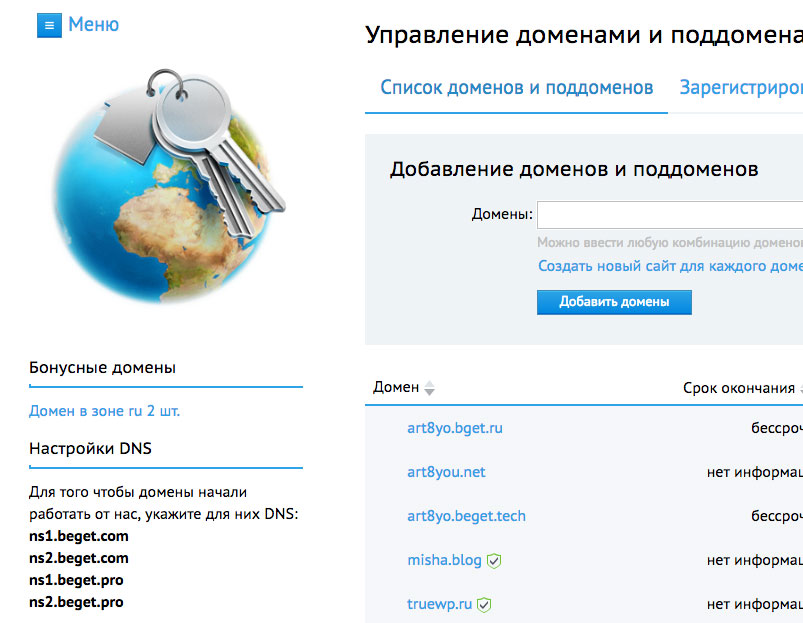 Управление доменами и настройки DNS beget