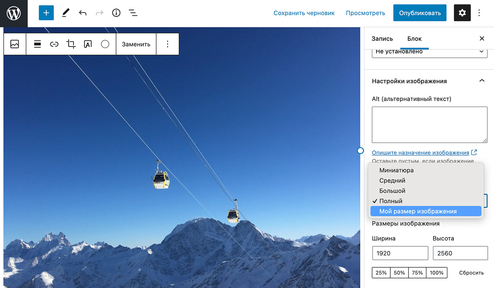 выбор произвольного размера изображения в Gutenberg